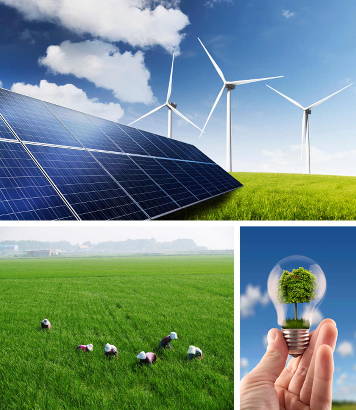 Sustainability collage